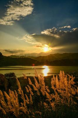 攀枝花市仁和區(qū)人民政府