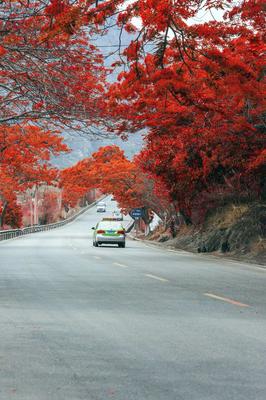 一組圖,考考你愛(ài)攀枝花有幾分?