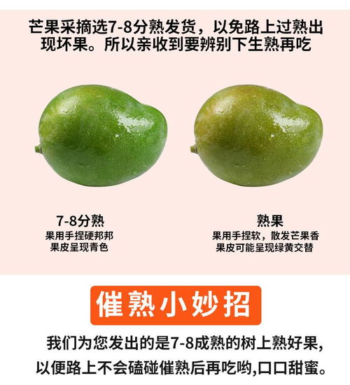 川郵自營(yíng) 攀枝花凱特芒果精品嘗鮮裝4斤 單果700g 1000g