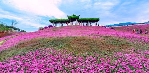 攀枝花入選2019年中國康養(yǎng)產(chǎn)業(yè)可持續(xù)發(fā)展能力20強(qiáng)地級市