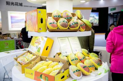 聚焦&ldquo;康養(yǎng)+農(nóng)業(yè)&rdquo;,攀枝花爆紅農(nóng)博會