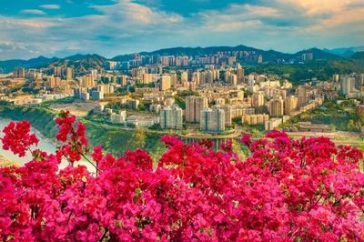 全國各大媒體爭相報道!攀枝花即將迎來又一大視聽盛宴!