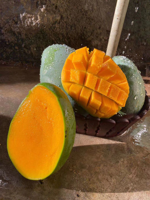 攀枝花凱特芒 大臉芒來(lái)襲，香甜多汁等你搶